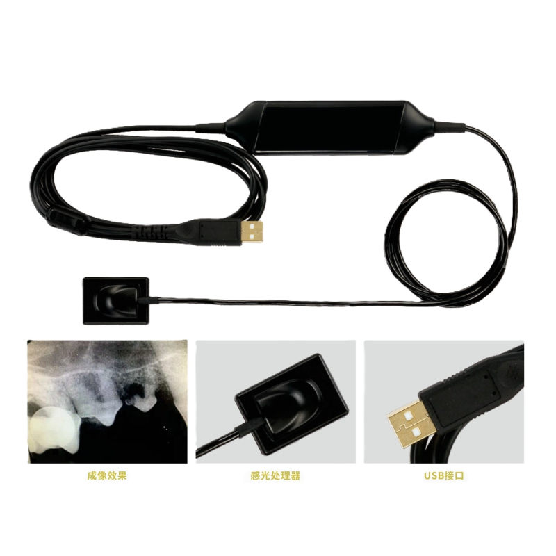 Derry Portable Dental X-ray Machine + Oral Digital X-ray Imaging System